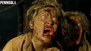 بعد أن أصبحت كوريا مليئة بالزومبي يضطر شخص لتنفيذ مهمة خطيرة في قلب كوريا فهل سينجح ملخص فيلم 