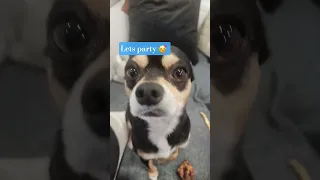 Nothing Beats The Trendingreels Duet Collab 