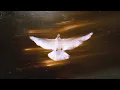Download Lagu IlYOUNG || yamamh El salam (Official Video music)