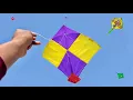 Lagu Kite Catching | Caught Kites On Roof | 2 Panni ki patang looti | Kite