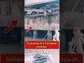 Download Lagu Penemuan M4y*t laki laki di bawah jembatan sungai dama karang mumus Samarinda #kotasamarinda