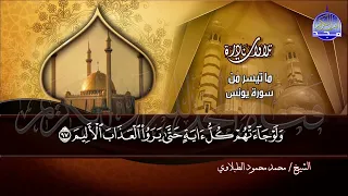 تـلاوة ذهـبـيـة خـاشـعـة من سـور يونس وهود للقارئ الشيخ مـحـمـد السـيـد ضـيـف HD 