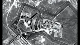 إعدام جماعي في سجون الأسد 