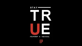 aquadeep veesoul we got the groove original mix