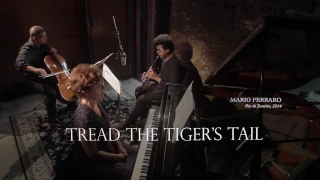 Tread The Tiger S Tail 