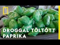 Download Lagu 31 millió dollárt érő kábítószert találtak a chilipaprika-szállítmányban! | Csempészek és határőrök