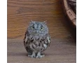 Owl as a Spirit Guide--What it Means When You Are Suddenly Seeing Owls Everywhere