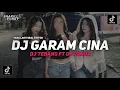 DJ GARAM CINA VIRAL TIKTOK ❗DJ TEBANG FT DJ PANDA 