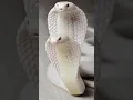 Download Lagu 2023 White king Cobra And 5000 Bce White King Cobra || Mythical_MC || #foryou #edit #viral #animal