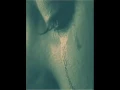 أغنية/من حب من قلب لا هون غناء الفنان العزازي