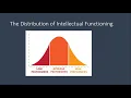 Understanding Intellectual Disability Definitions Intervention and Resources