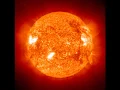 "Staring at the Sun" - The Angry Samoans
