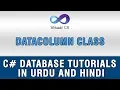 C DataSets and DataTable In Urdu - DataColumn class