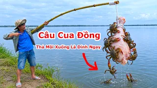Cách Câu Cua Đồng ! Khiếp Quá Cua Ở Đâu Mà Nhiều Thế Này / 1 Ngày Đi Câu Cua Đồng Nơi Bí Mật