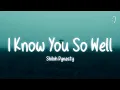 Download Lagu Shiloh Dynasty - I Know You So Well (Lyrics)