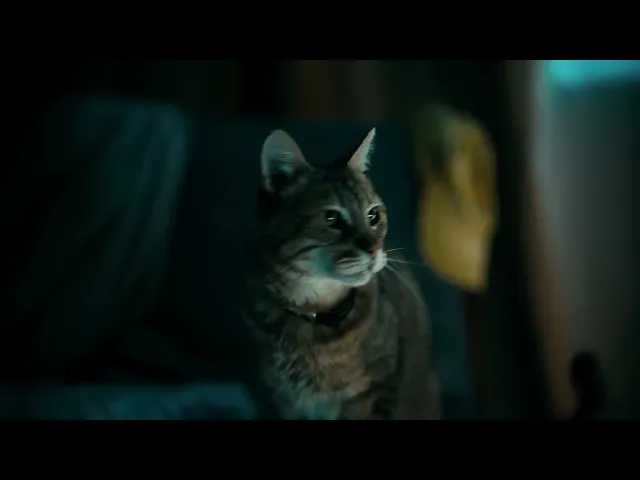 Apocalipsis Z: El Principio Del Fin | Teaser Trailer