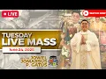 Download Lagu FILIPINO LIVE MASS TODAY ONLINE II JUNE 24, 2025 II FR. JOWEL JOMARSUS GATUS