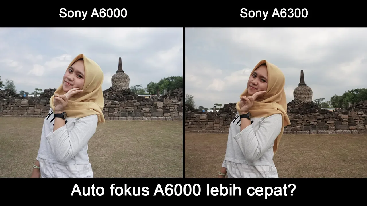 Duel Beda Genre Canon Eos 700d vs Sony Alpha 6000. 