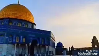 القدس نادت سلاحي الله أكبر راائعة 