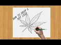 How To Draw A Pot Leaf pencil drawing tutorials step by step