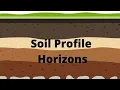 Soil Profile and Soil Horizons