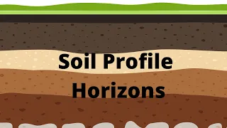 Soil Profile And Soil Horizons 