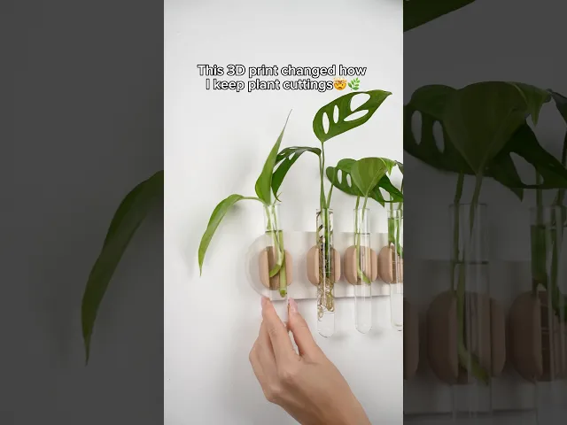 MONSTIA MINIMALIS - wall propagation tubes holder video thumbnail
