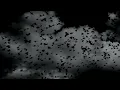Sabr Alptekin - Patience