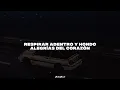 Los Prisioneros - Tren Al Sur [Letra]