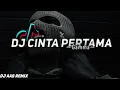 Dj Viral Tiktok//Satu Hari Tidak Bertemu//Dj Cinta Pertama//Gamma1//Enekeun//DjAabRemix🎶