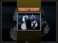 How To Make Smooth Ripple Transition On Capcut Capcut Tutorial