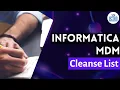 Informatica MDM Cleanse List Informatica MDM online tutorial Informatica MDM beginners