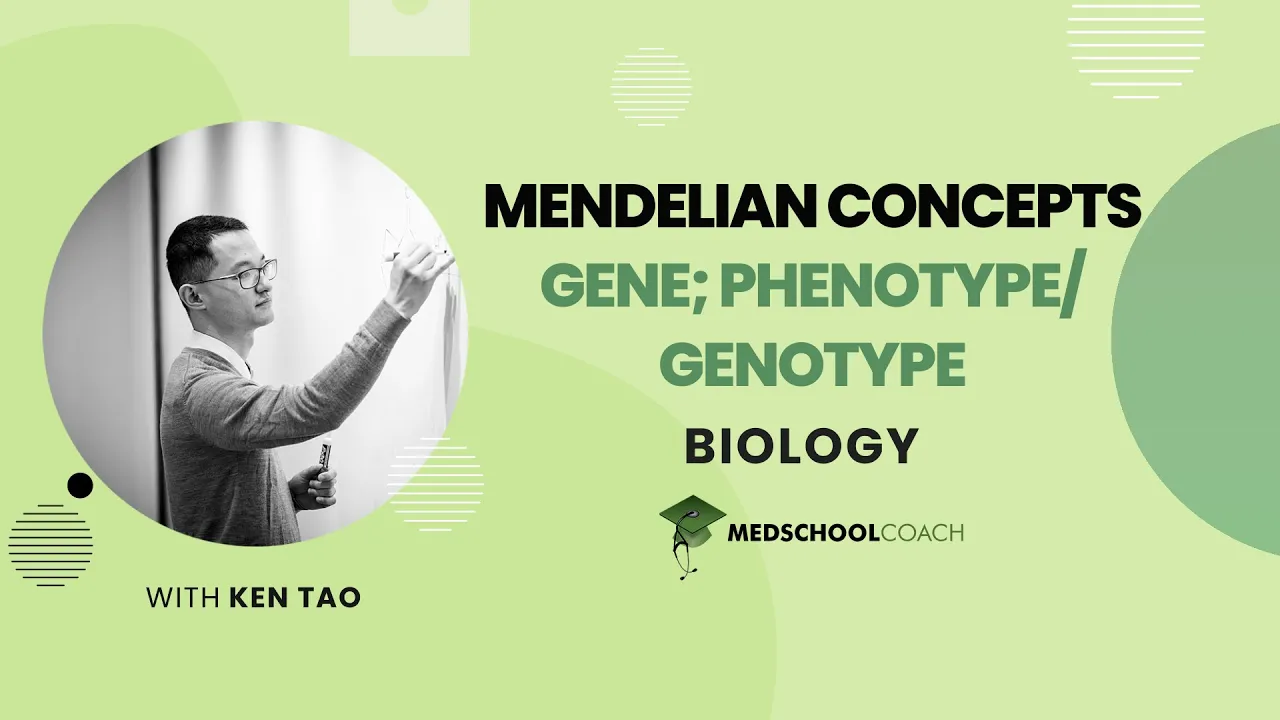 Gene, Phenotype, and Genotype
