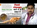 Download Lagu Cat ko feed Change करते ही ।  loose motion ho jate Hain  तो क्या करे ! Full information MP3