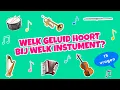 Muziekinstrumenten leren kennen en herkennen | Welk geluid hoort bij welk instrument?