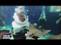Guests now welcome to return to SeaTrek at Odysea Aquarium FOX 10 News