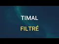 🎧TIMAL - FILTRÉ (SLOWED & REVERB)