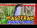 Download Lagu suara MASTERAN CENDET gacor isian bukan GEREJA TARUNG khusus CENDET TROTOL materi TEMBAKAN