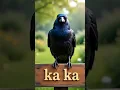 Download Lagu funny video 🤣🤣@ funny club 😶😄😄😃😲😳😁😂😂❤️❤️❤️❤️❤️