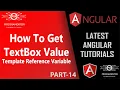 14 How To Get Value Of Tex Box In Angular Template Reference Variable In Angular