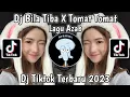 DJ BILA TIBA X TOMAT TOMAT VIRAL TIKTOK TERBARU 2023 DJ NANSUYA || DJ AZAB YANG KALIAN CARI!!!