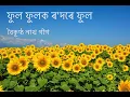 Download Lagu ফুল ফুলক ৰ'দৰে ফুল | Phool Phulok Rodore Phool | Baikuntha Gogoi