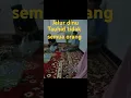 Download Lagu jalur dinuttauhid tidak semua orang - Gus Mukhlason Rosyid Mojokerto