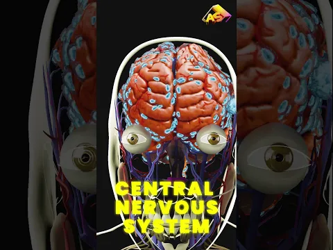 Brain eating Amoeba