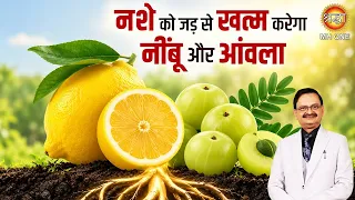 नशे की लत छोड़ने का घरेलू उपाय | जानिए आंवला और नींबू के फायदे | Subhash Goyal | Health Tips