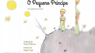 Resumo do livro o Pequeno Príncipe