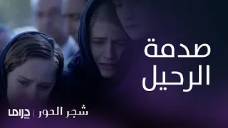 مسلسل شجر الحور الحلقة 1 جورجيس يرحل وبناته في صدمة 