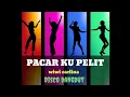 Download Lagu PACARKU PELIT - Wiwi carlina ( Disco dangdut terbaik )