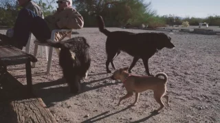 Showering in Slab City – Baja or Bust 45