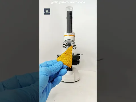 #bts